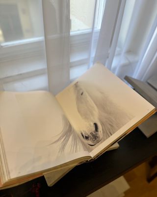 When in @sumogarden_cz 🤍 With beautiful @laura.ella.benyskova Baroque pearls @katerinasochorova_kat.jewelry #annahora...