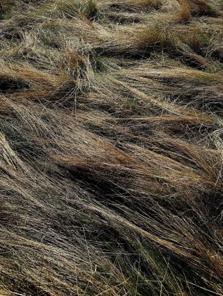 Recently. Chasing soft light and calming neutrals. #annahora #lifestyle #brand #czechbrand #localbrand #brandswelove...